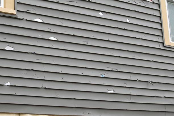 Affordable siding repair and maintenance services in Penn Wynne, PA